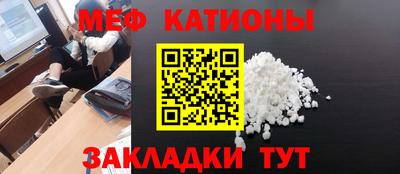 прущие грибы Обнинск