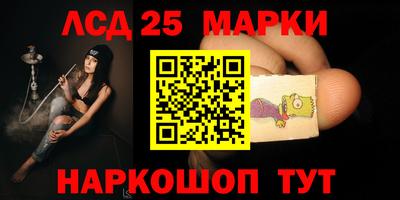 прущие грибы Обнинск